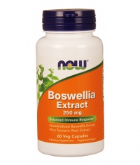 NOW Boswellia Extract 250 mg / 60 Vcaps