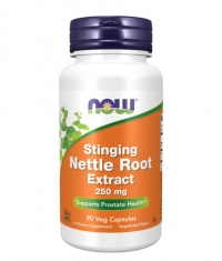 NOW Stinging Nettle Root Extract 250mg. / 90 VCaps.