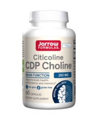Jarrow Formulas Citicoline (CDP Choline) 250mg. / 60 Caps.