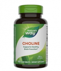 NATURES WAY Choline 500 mg / 100 Tabs
