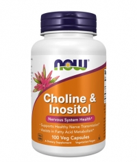 NOW Choline & Inositol 500mg. / 100 Vcaps.