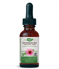 NATURES WAY Echinacea / 30 ml