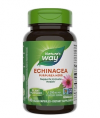 NATURES WAY Echinacea Purpurea Herb / 100 Vcaps