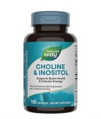 NATURES WAY Choline & Inositol / 100 Caps