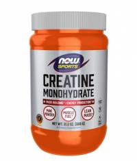 NOW Creatine Monohydrate Powder